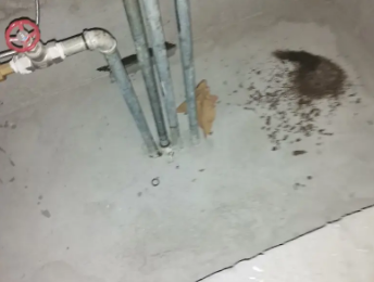 扬州市卫生间测漏水价格明细