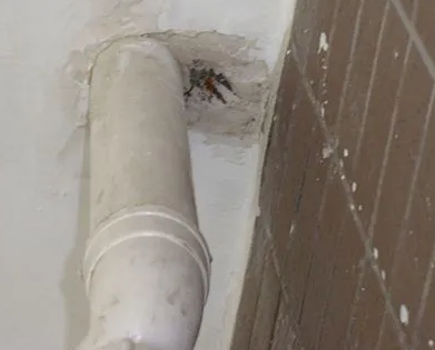 扬州市漏水检测哪家好